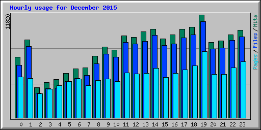 Hourly usage for December 2015