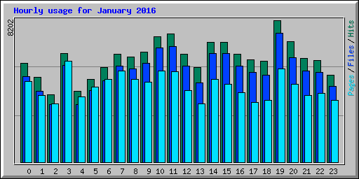 Hourly usage for January 2016